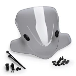 Puig City Touring plexi - 6522 kép