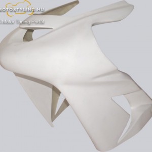 Fejidom  Kawasaki ZX 10 04 -05 kép