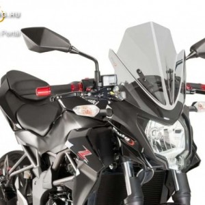 Naked New Generation plexi Kawasaki Z250SL (2015-2016) kép